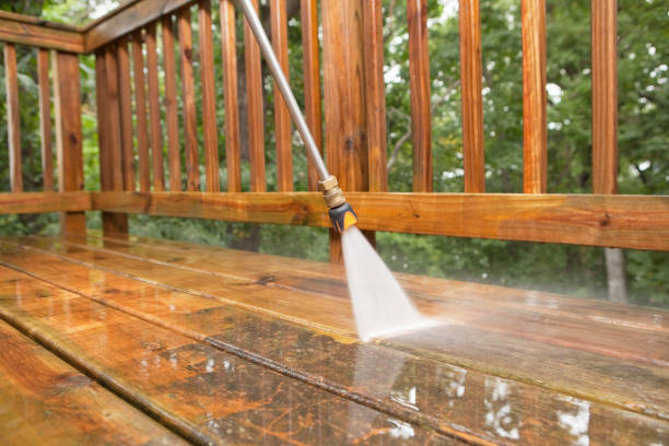 Best Gutter Cleaning in Chatmoss, VA